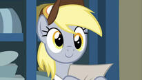 Derpy Hooves Derpy Hooves