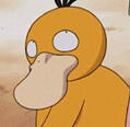 Psyduck